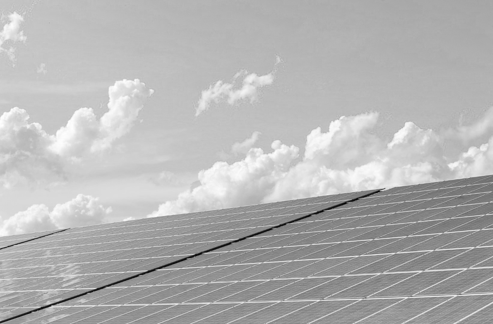 pexels-pixabay-356036 (Groot)